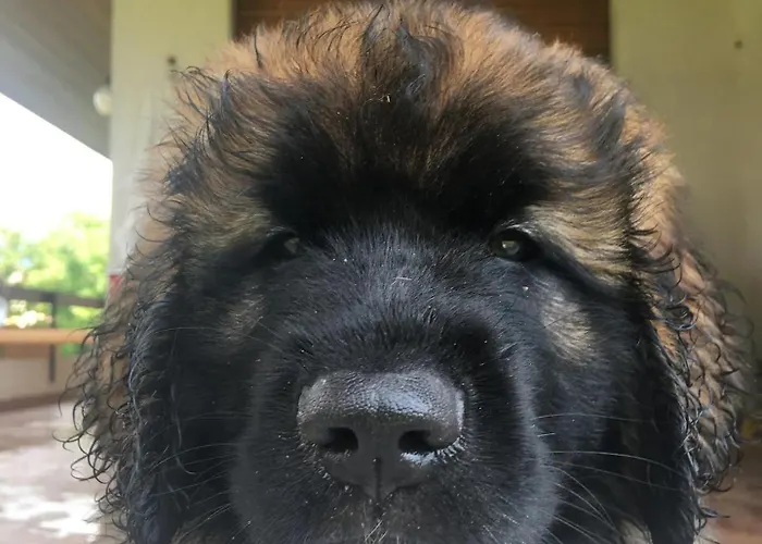 شقة La Mansarda *